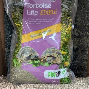 substrate-tortoise-life-edible